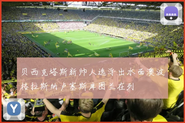 贝西克塔斯新帅人选浮出水面澳波格拉斯纳卢塞斯库图兰在列